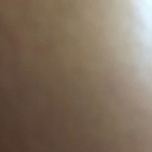 Meet your Posher, Maddie